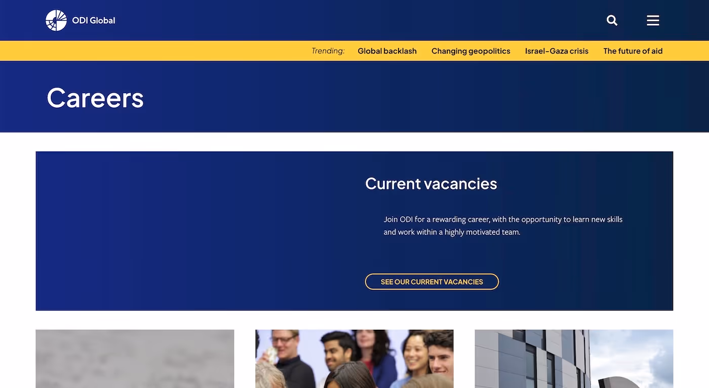 Screenshot of the official career page of ODI