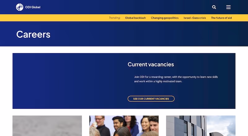 Screenshot of the official career page of ODI