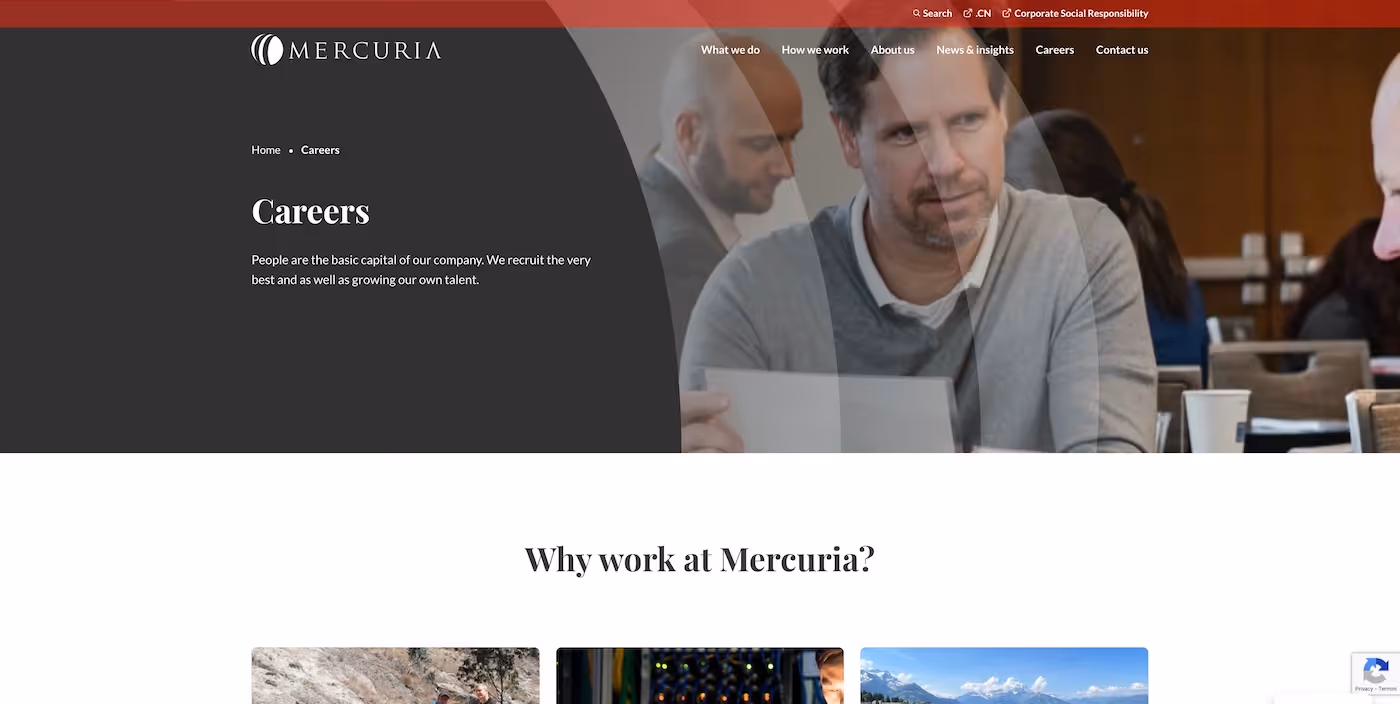 Screenshot of the official career page of Mercuria