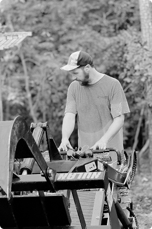 Expert tree care and maintenance work