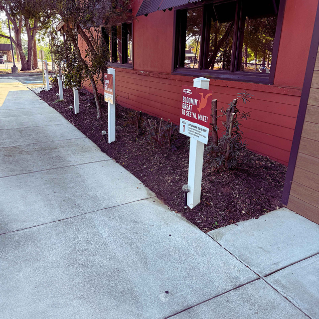 Beautiful backyard landscape transformation