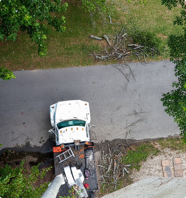 Completed landscape design project