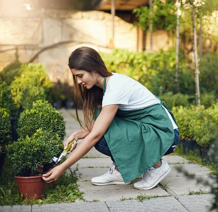 Outdoor living space with patio and greenery