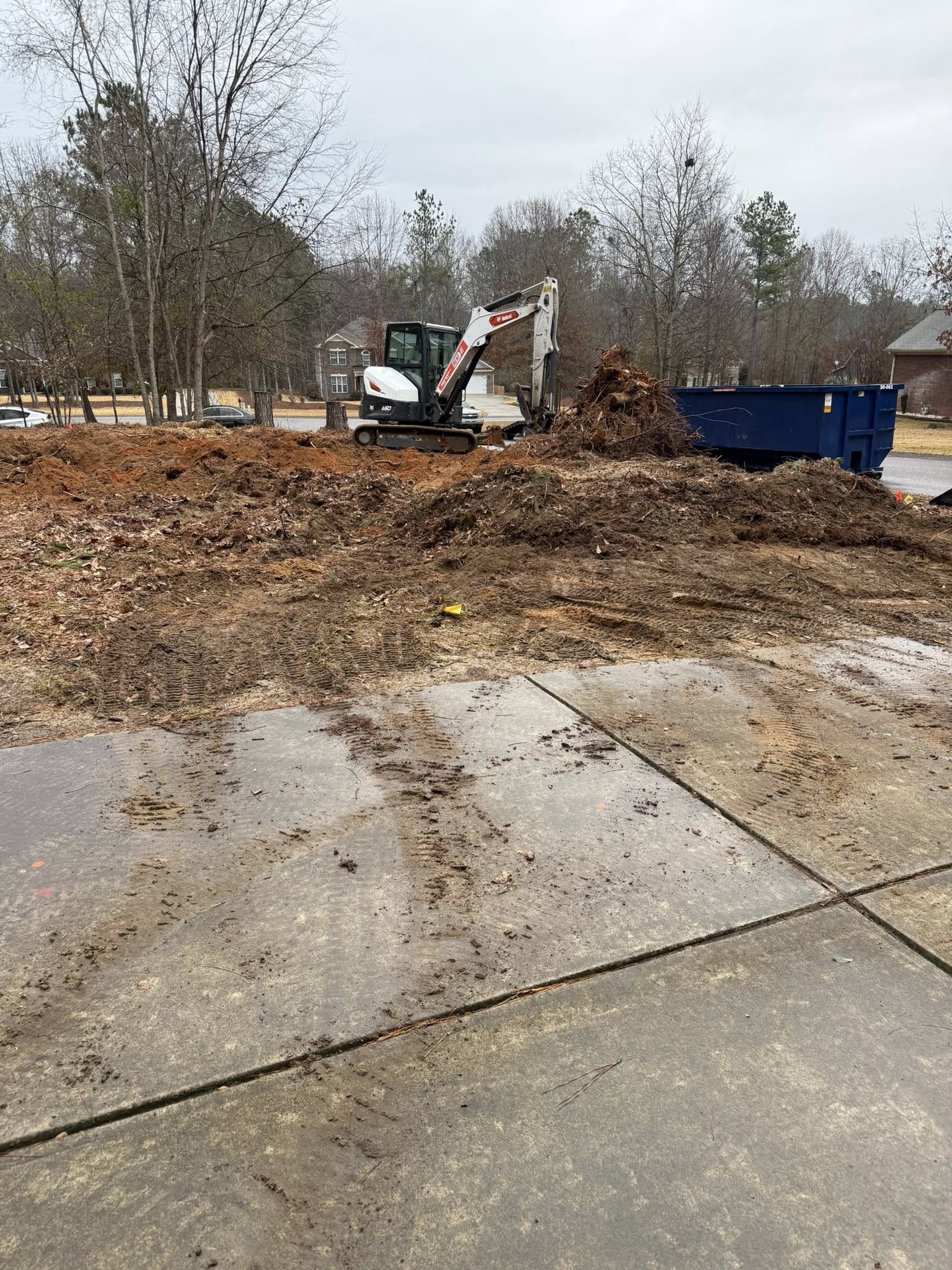 Property after tree removal