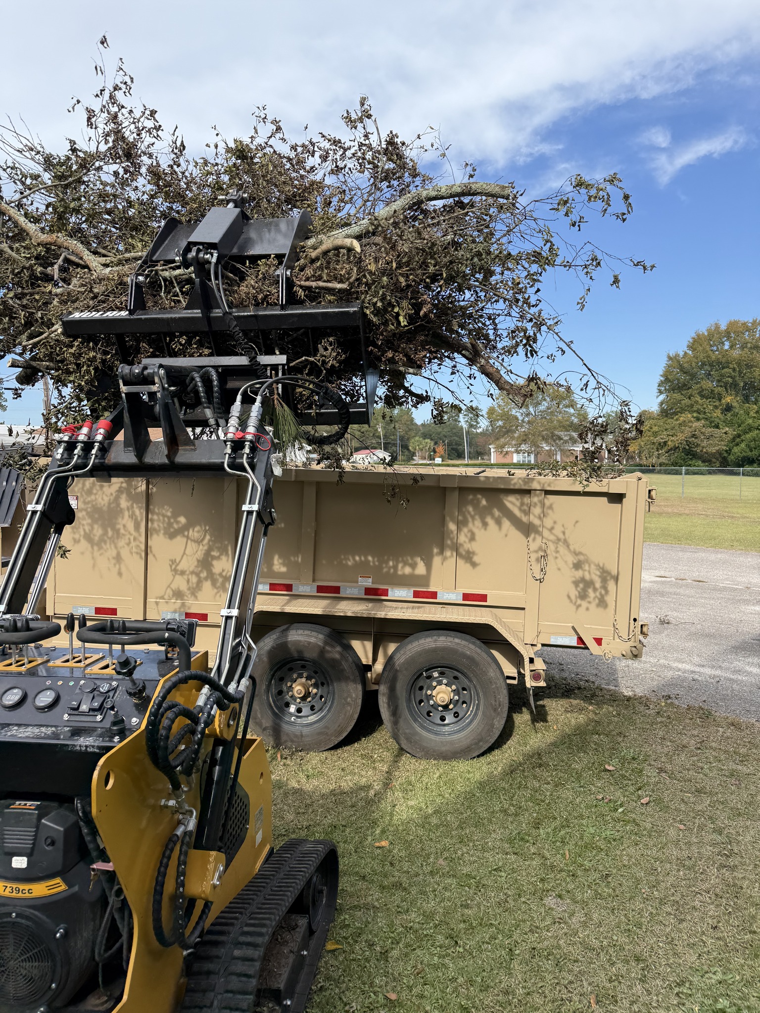 Yard before debris removal