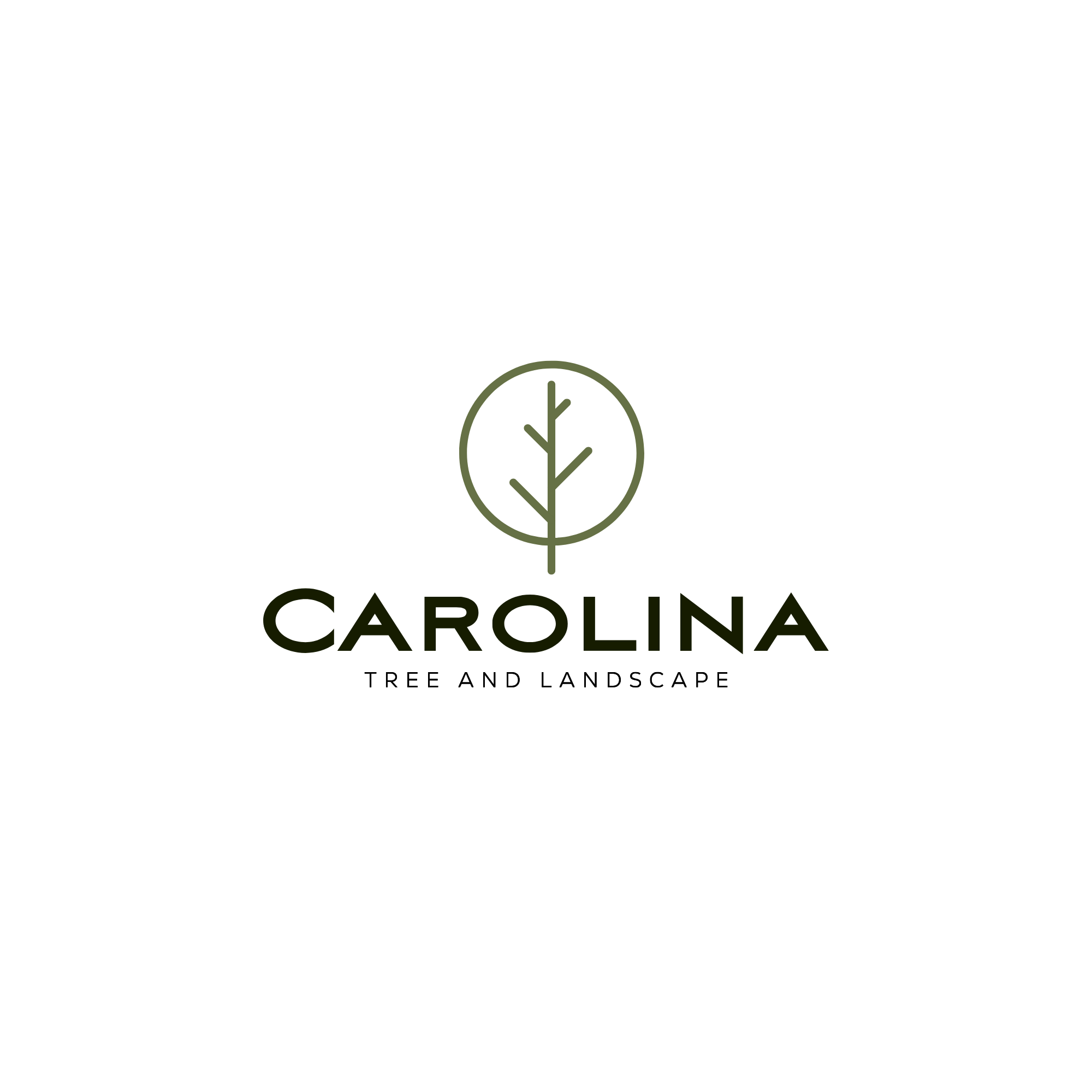 Carolina Tree and Landscape brand logo