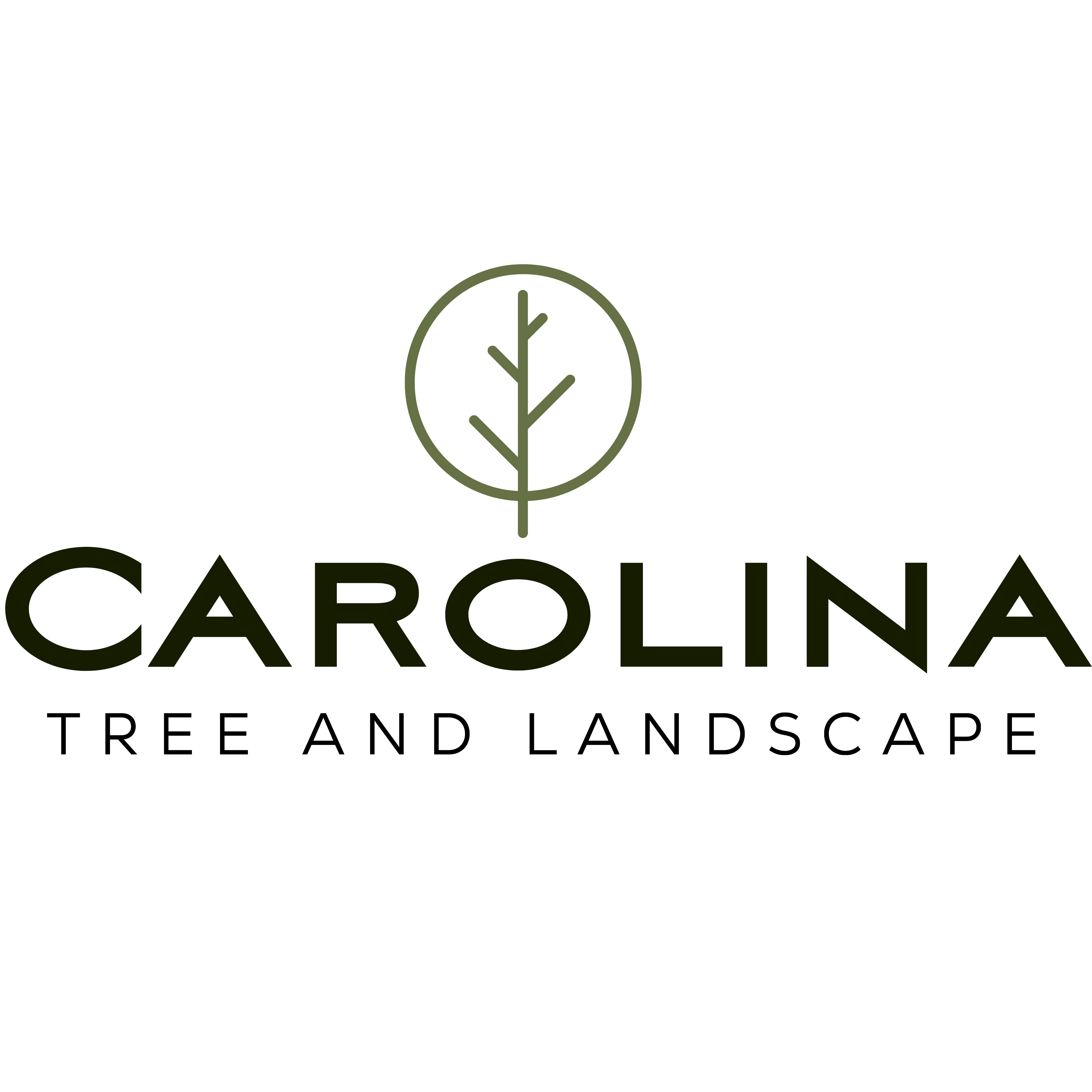 Carolina Tree and Landscape logo
