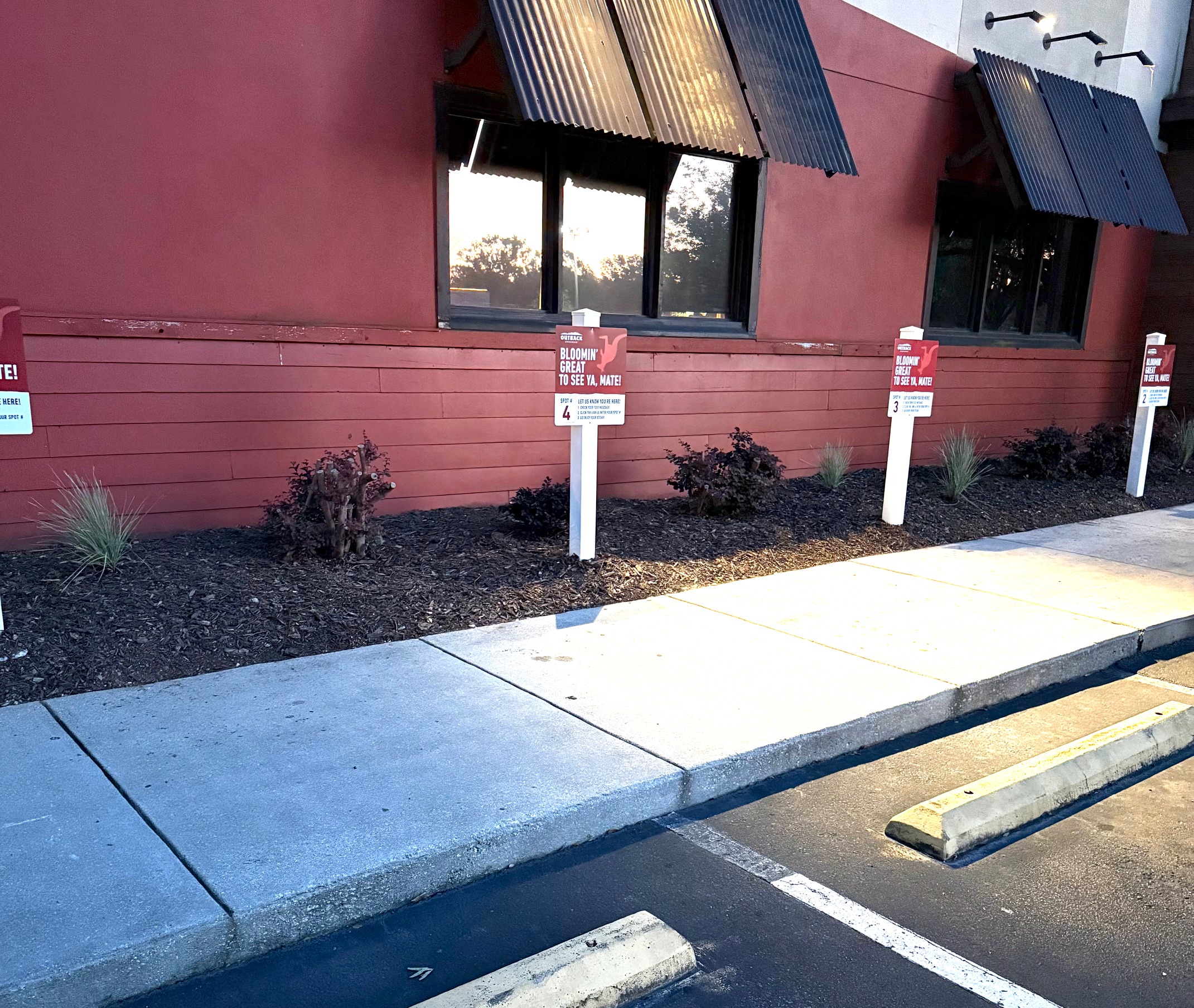 Landscape after installation