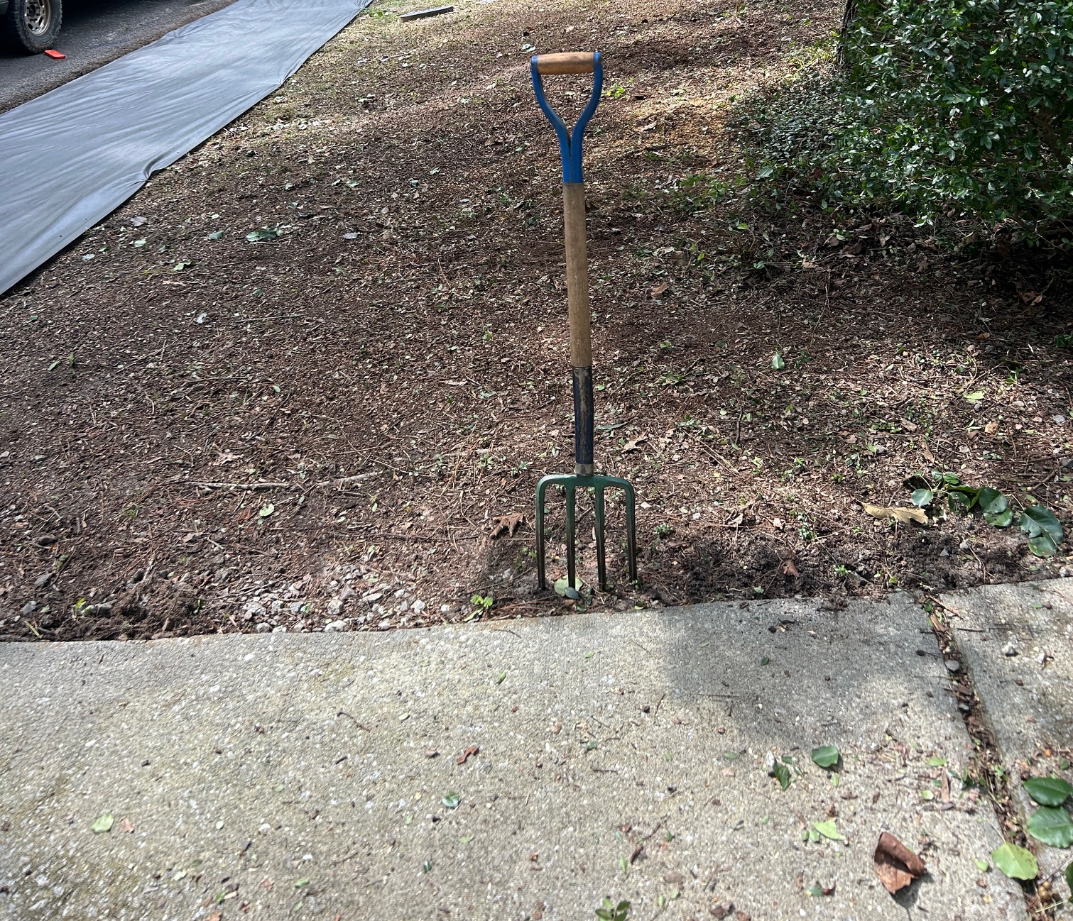 Landscaping before treatment