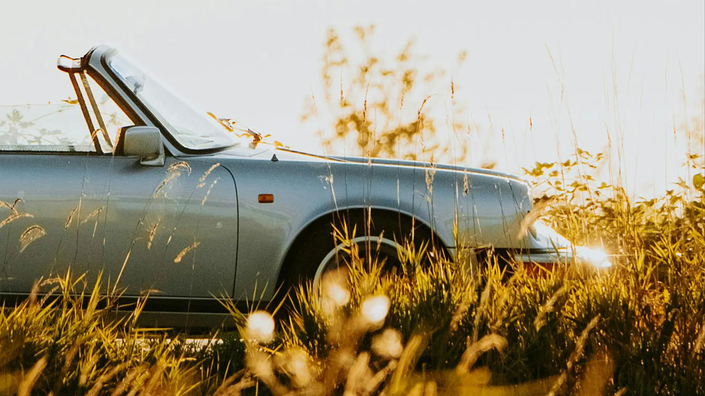 Brain Bank | interview project