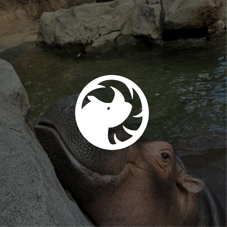 Zoosync | daily zookeeping