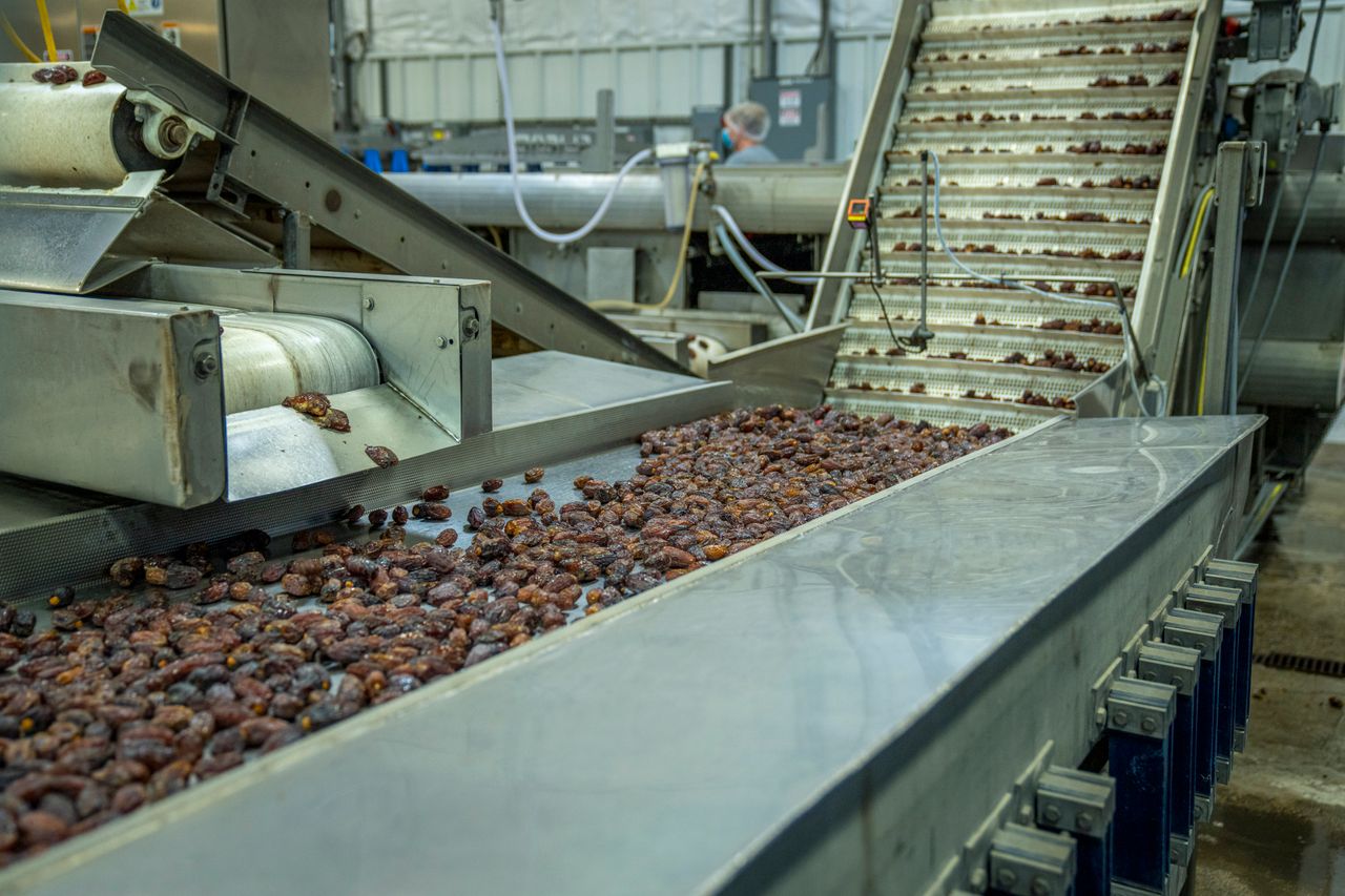 Stainless steel food processing conveyor line with an inclined mesh belt carrying product between stages