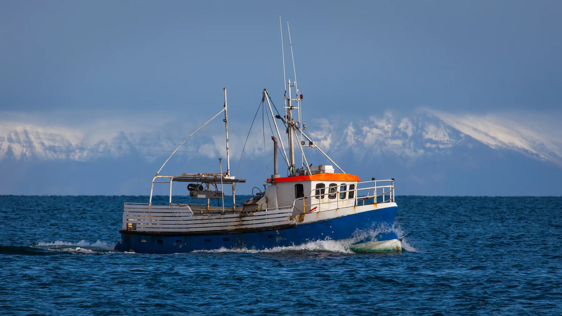 Icelandic cod season
