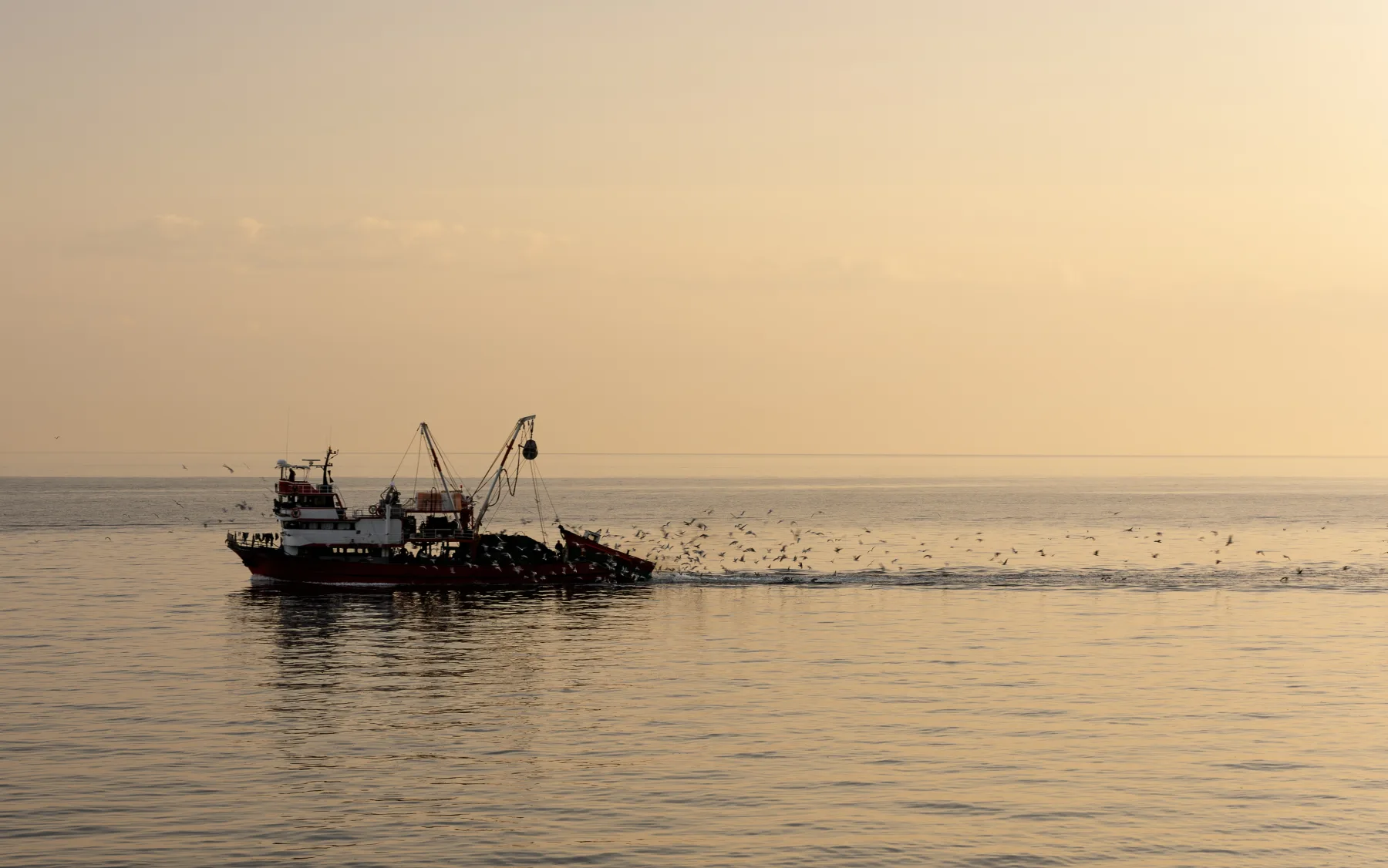 World Fisheries Day