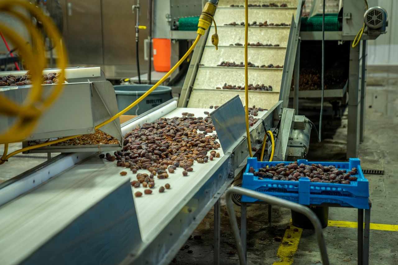 Industrial food processing conveyor
