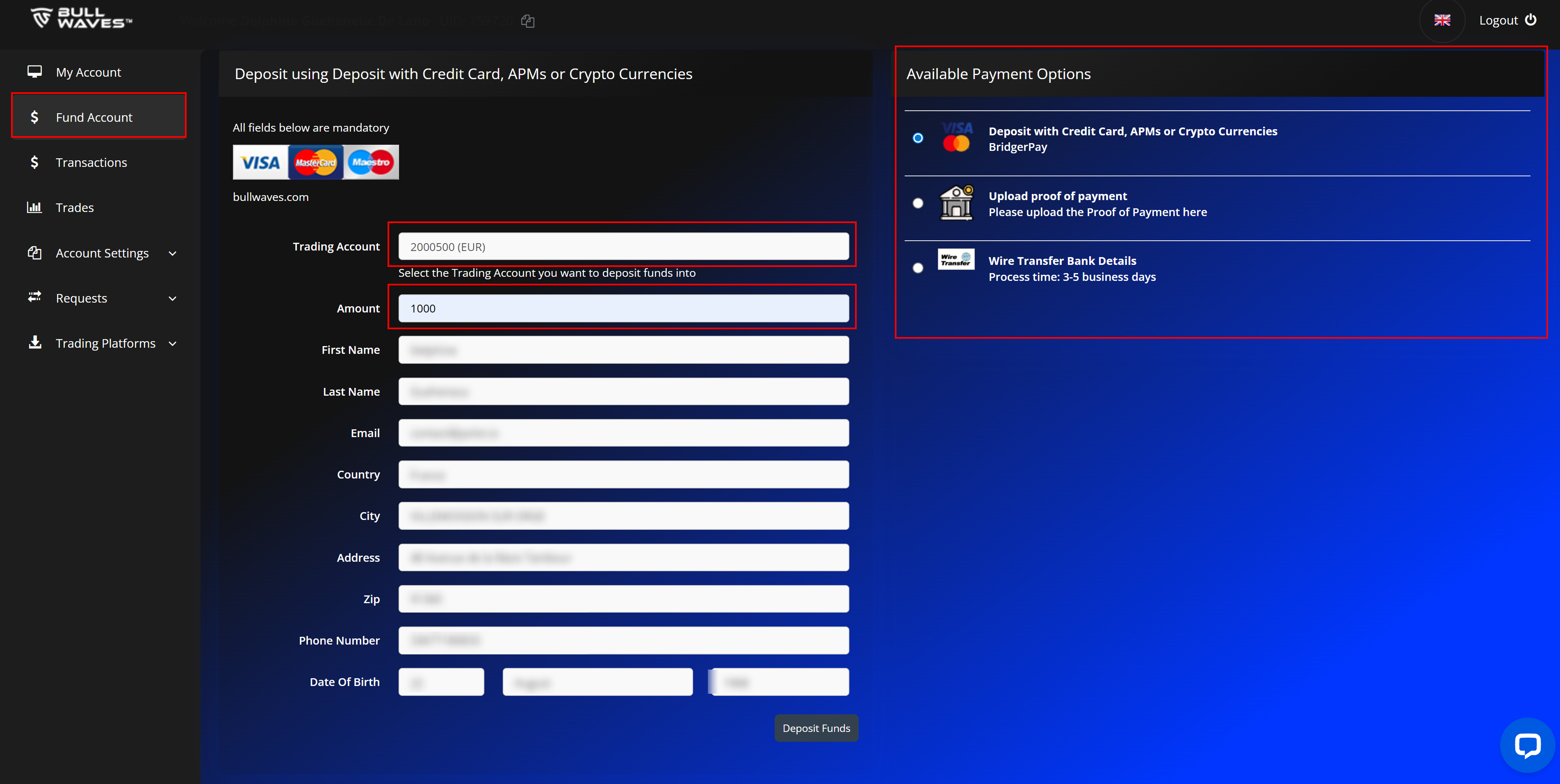 Bullwaves funding window
