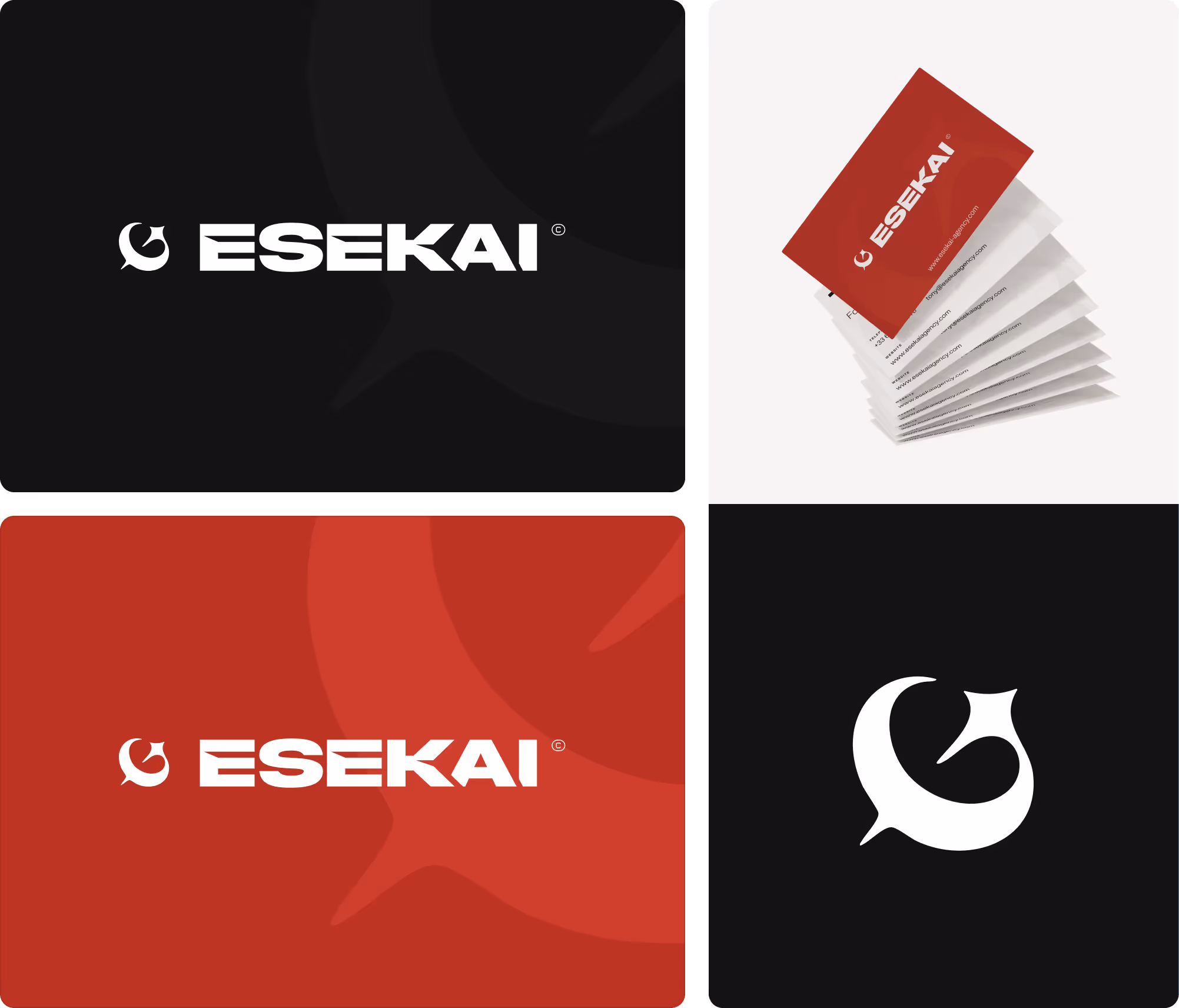 Identité visuelle Esekai - Agence Tiktok 