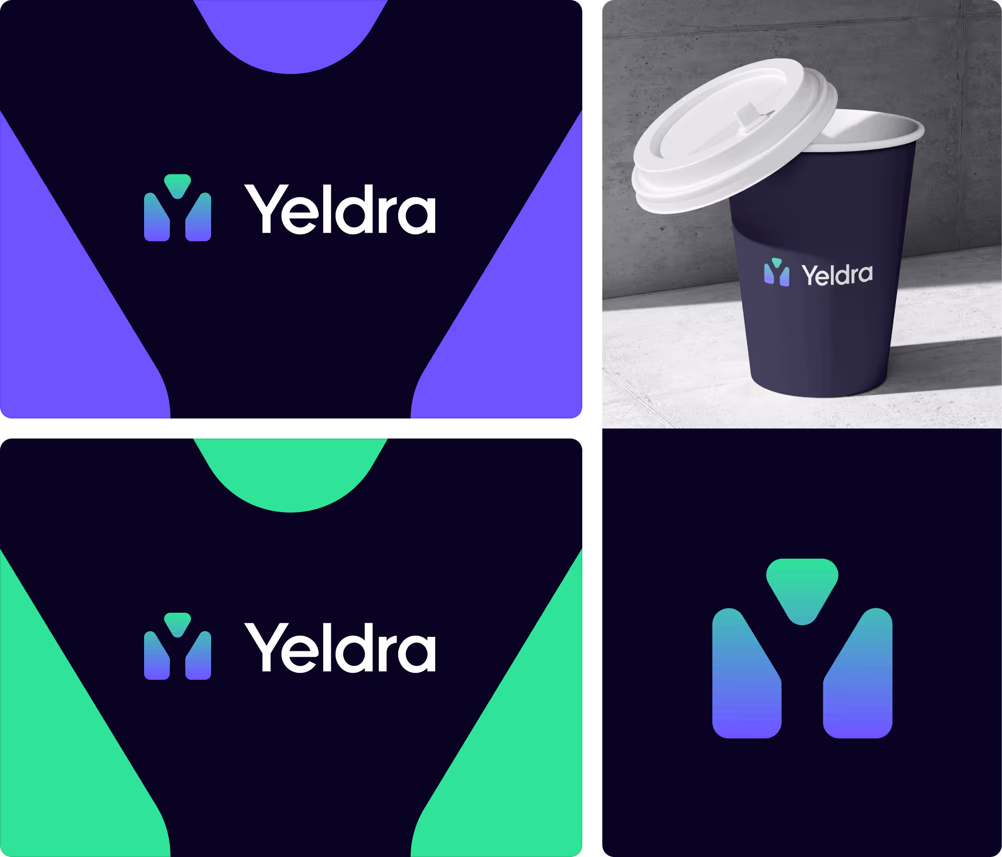 Identité visuelle Yeldra - Plateforme SaaS