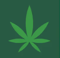 Simplified green cannabis leaf icon on a darker green background.