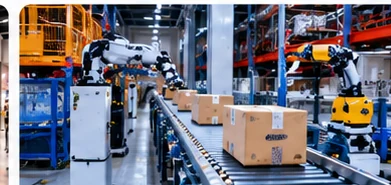 Warehouse & Logistics