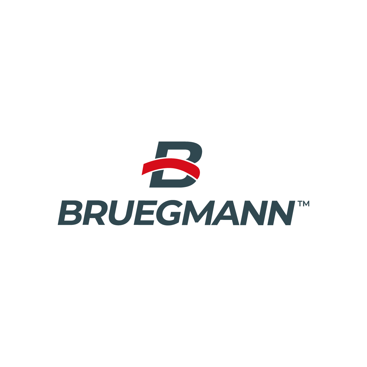Bruegmann (Zhuhai FTZ) Co., Ltd