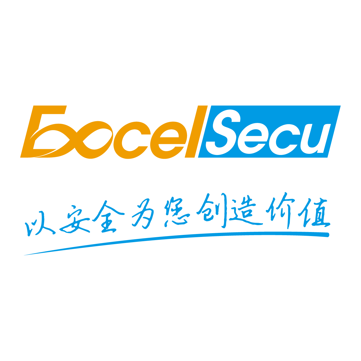 Shenzhen Excelsecu Date Technology co.,Ltd