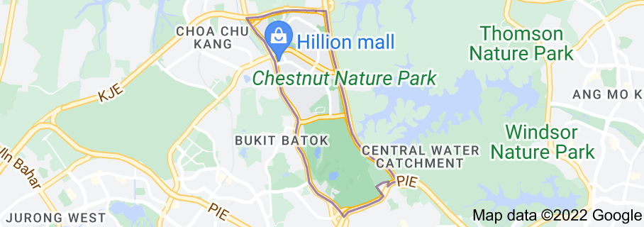 Bukit Panjang