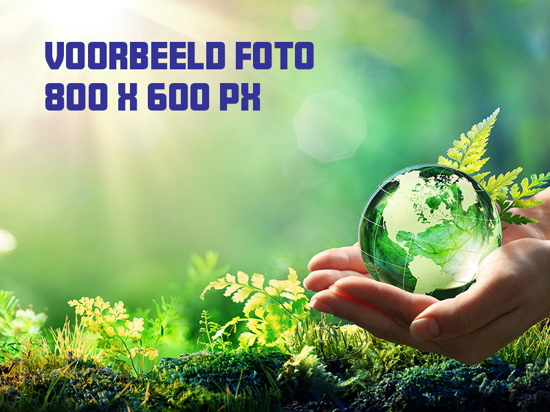 Schoolmoestuin Leeuwenhorst