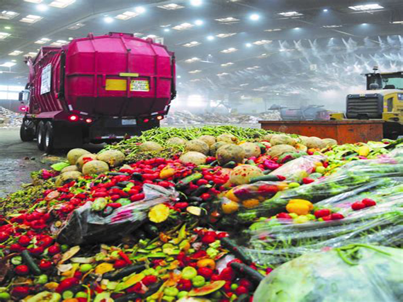 Food waste challenge