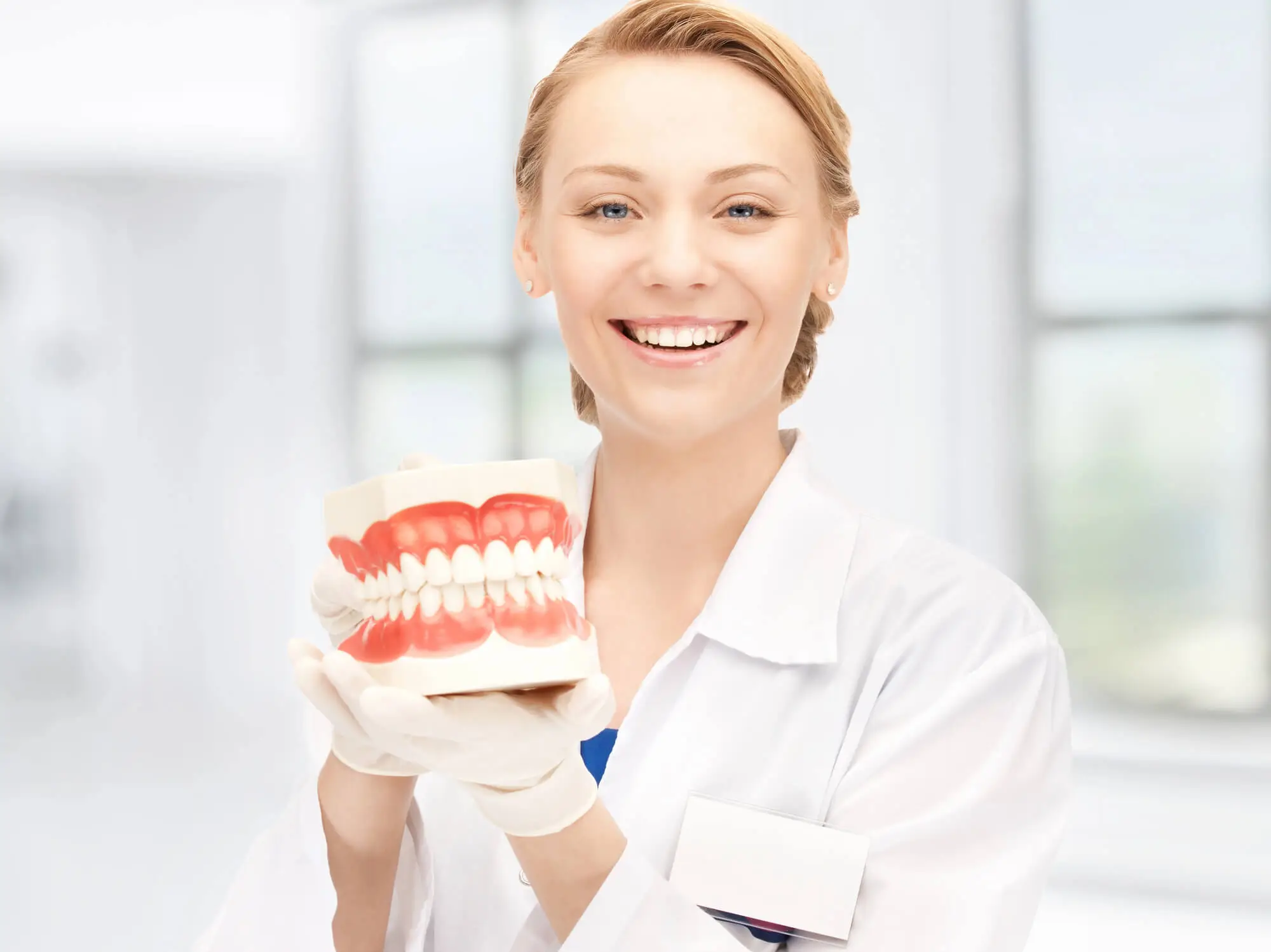 Dentist-Springfield-PA-Holding-Dental-Jaw-Model