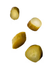 Four separated slices of a green pickled cucumber on a transparent background.