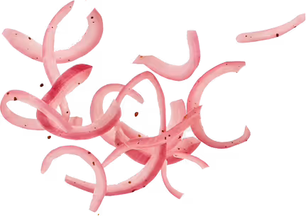 Thin slices of red onion scattered on a white background.