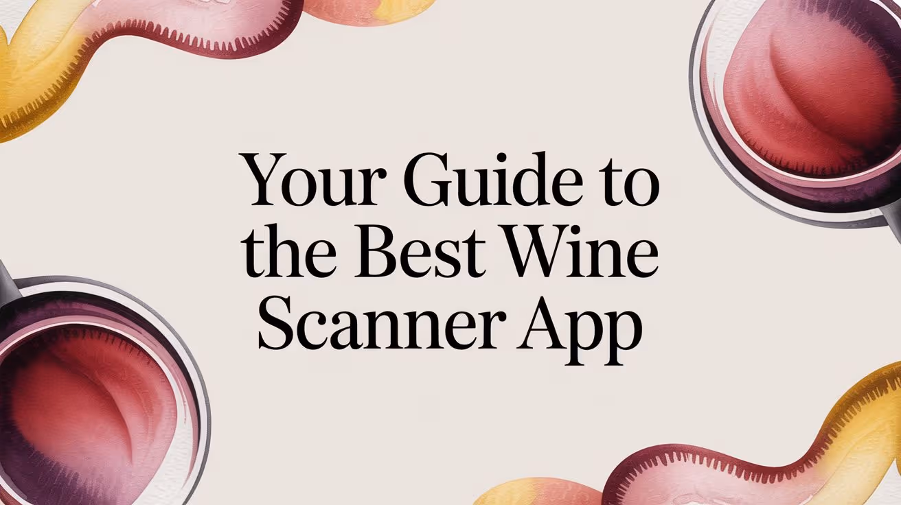 Your Guide to the Best Wine Scanner App