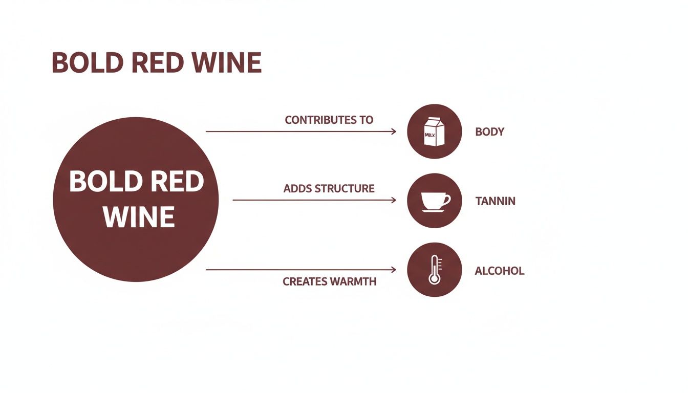 An infographic explaining that bold red wine contributes to body, adds structure through tannin, and creates warmth with alcohol.