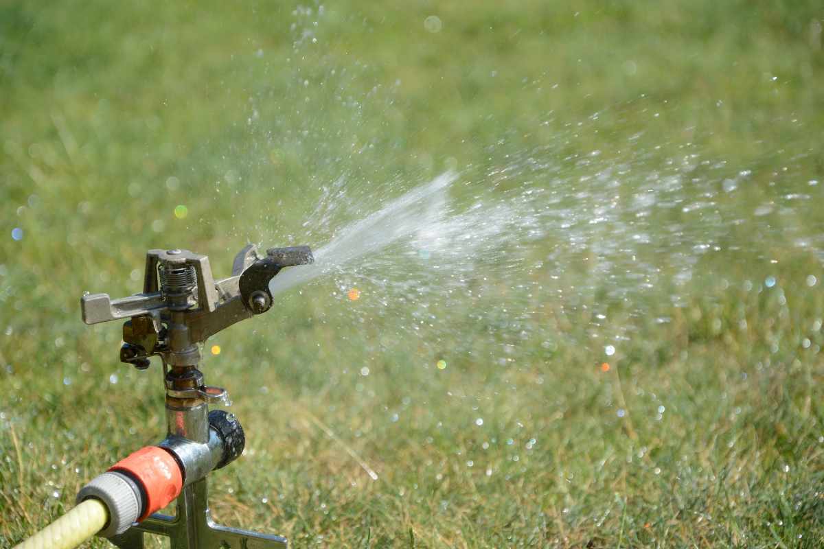Dallas Sprinkler Repair Costs and Seasonal Preparation Guide