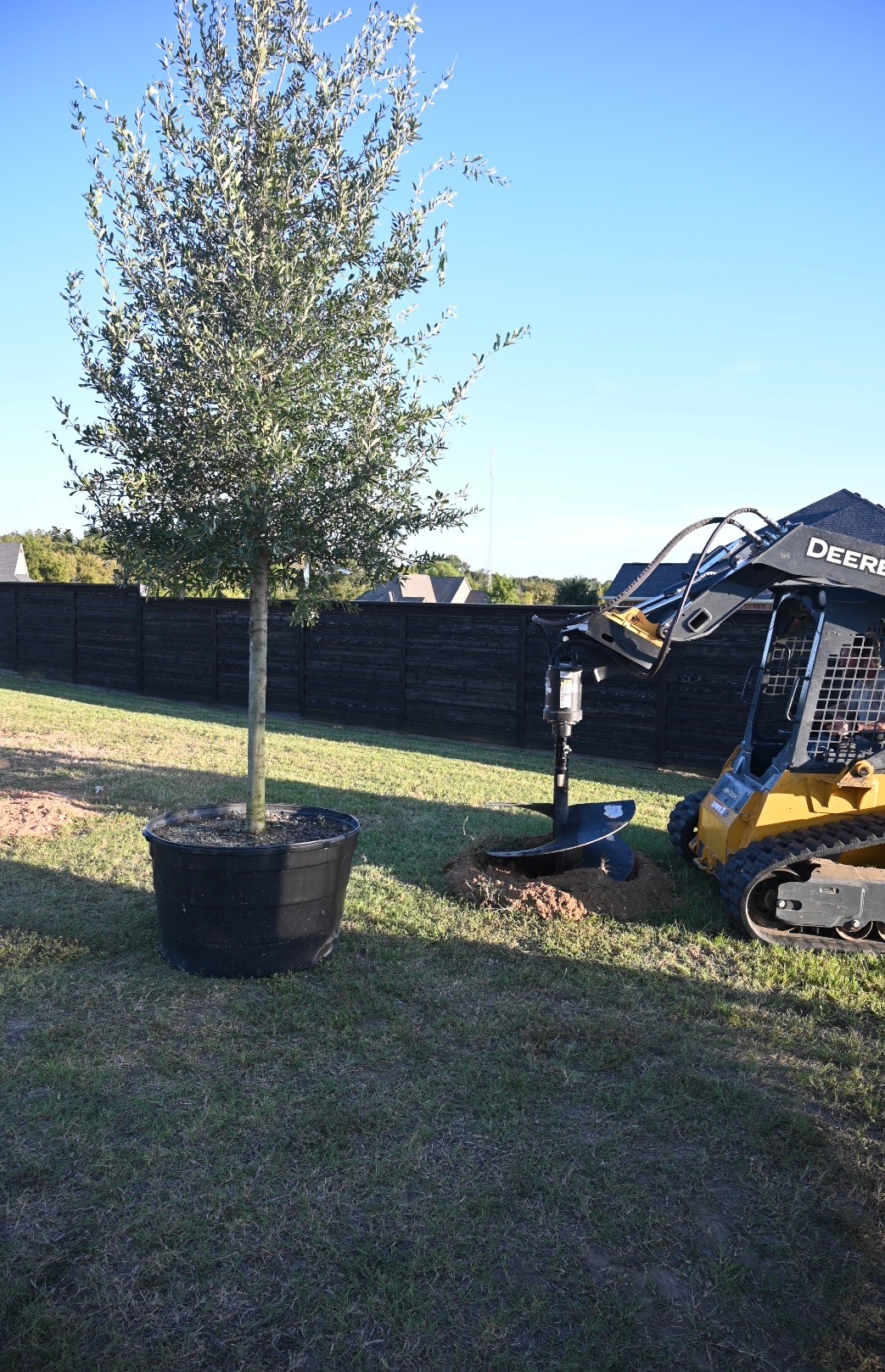 Tree in a large black pot next to a small yellow excavator with an auger drilling a hole in a grassy yard.