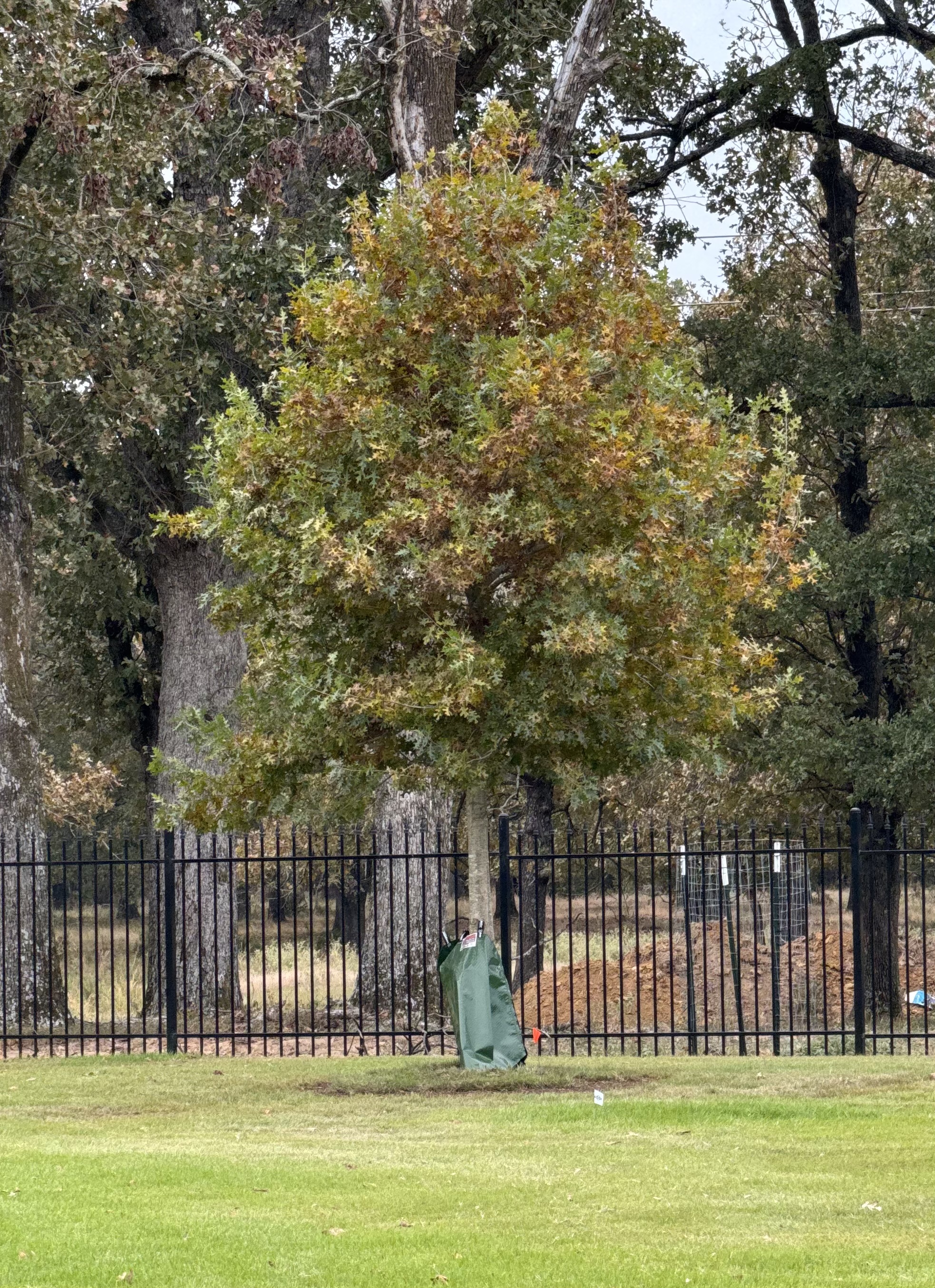 image of garden or outdoor space (for a bed & breakfast)