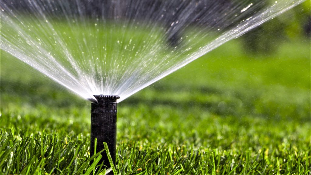 Sprinkler watering lawn in Canton, TX