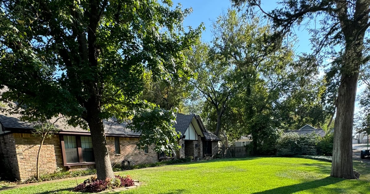 Finished East Texas landscape maintained by Saddle Rock Land Co.