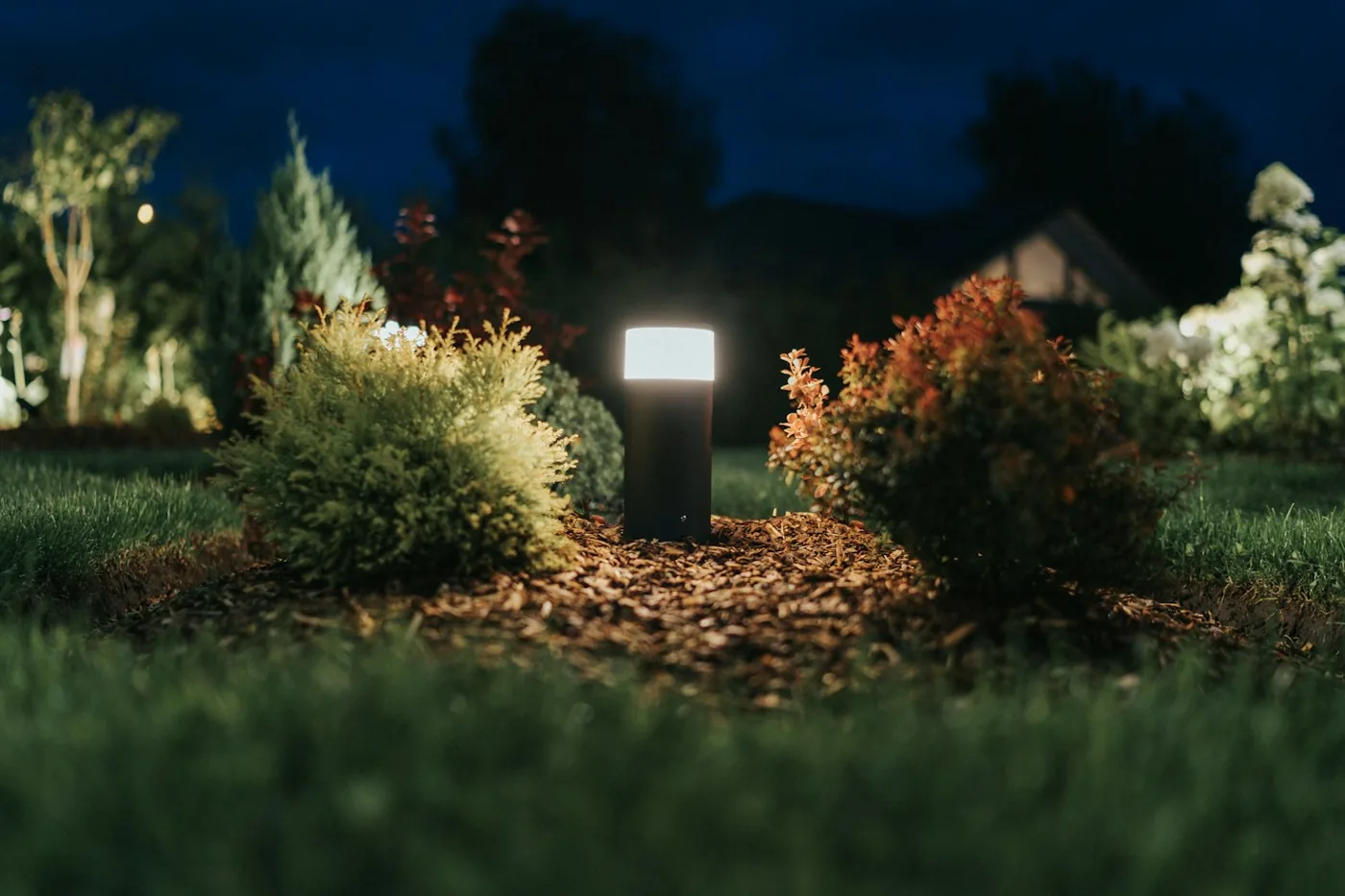 Stock inspiration: a garden light illuminating shrubs at night