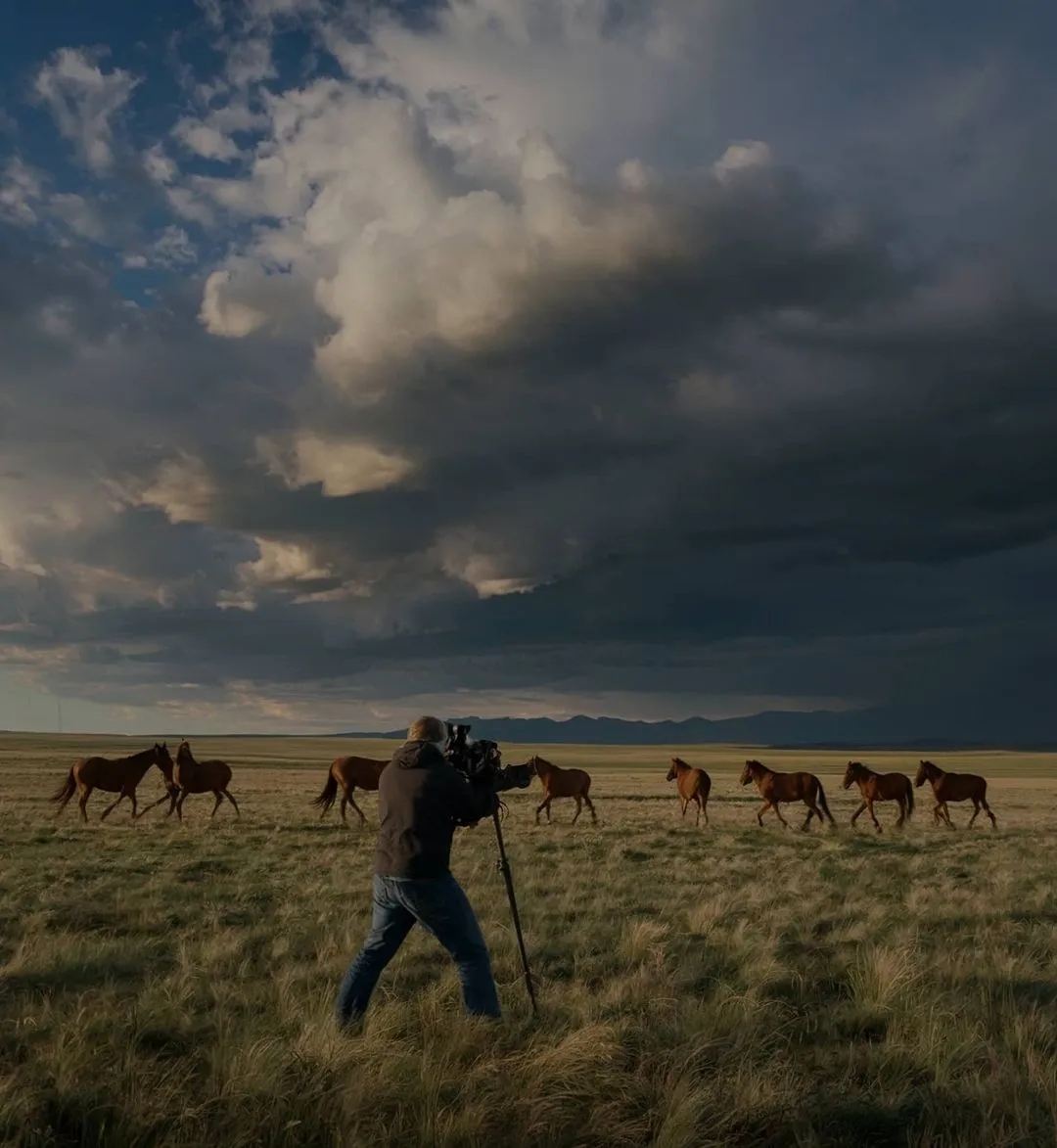 Join Our Team - Cinemaflow - Webflow Template | BRIX Templates