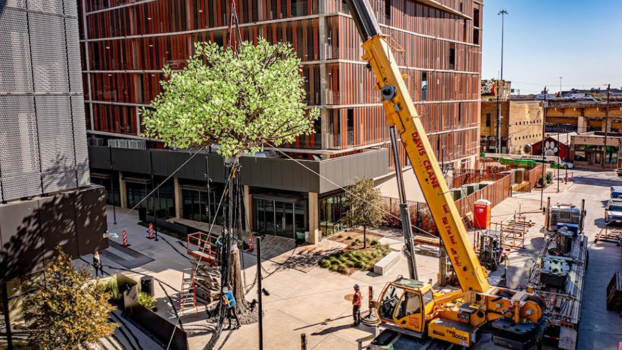 Video thumbnail of the Tree of Ténéré opening film by DRIFT
