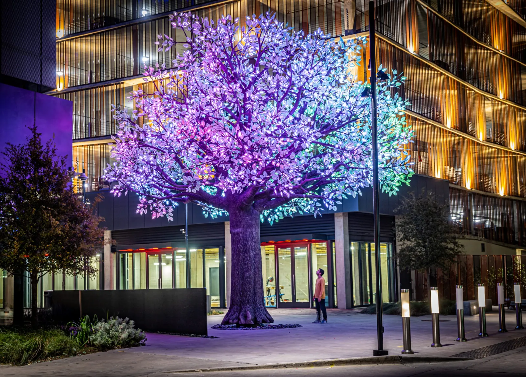 Tree of Ténéré LED sculpture illuminated at night in Dallas