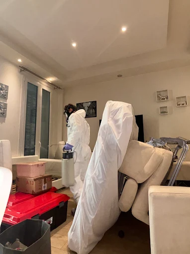 Intervention cafards Lyon