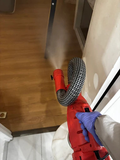 Intervention souris Lyon