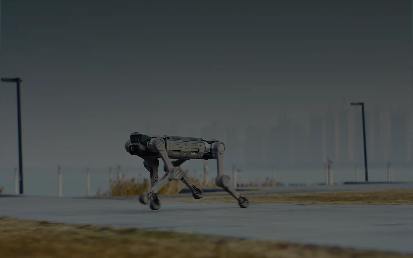 Quadruped robot in action on road