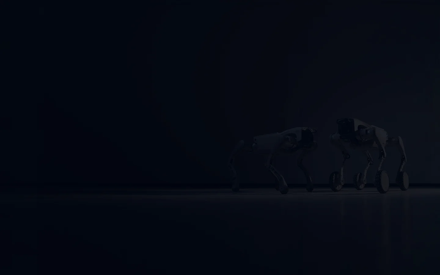 Two Quadruped Robots