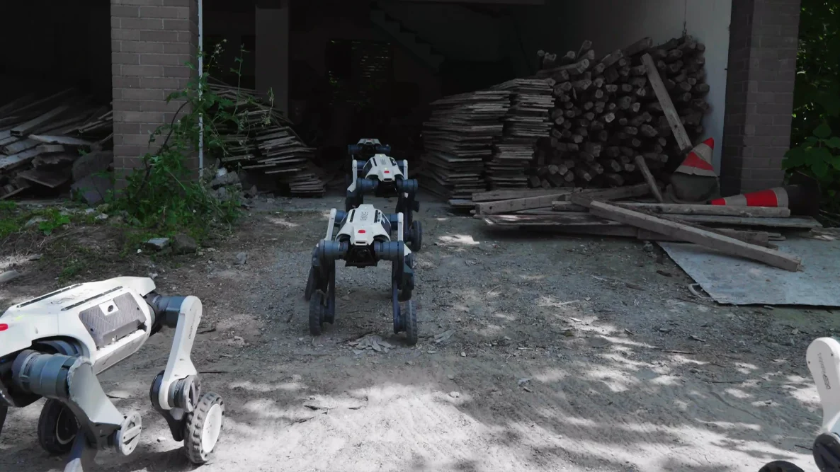 Deep Robotics Robot Dogs in Action