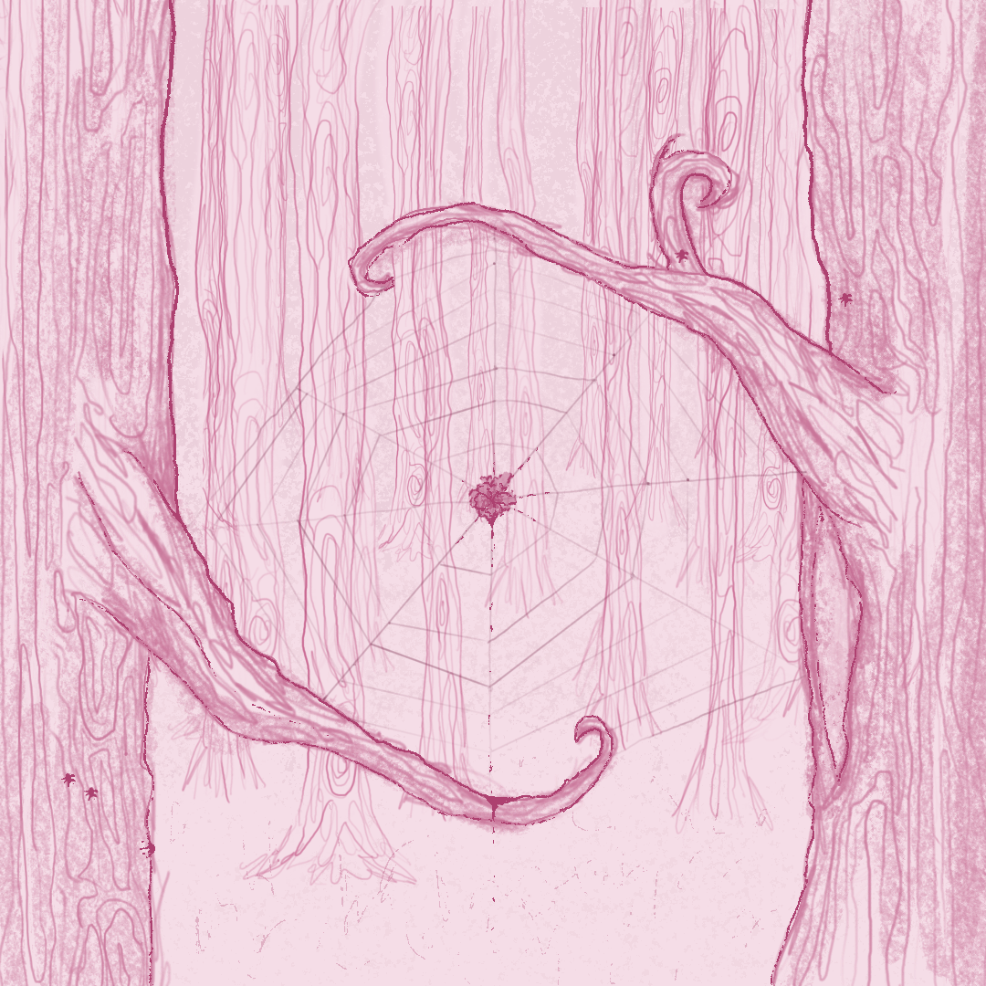 pink picture, spiderweb in trees