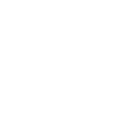 v c c p partner logo
